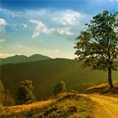 乐发ll彩票app下载